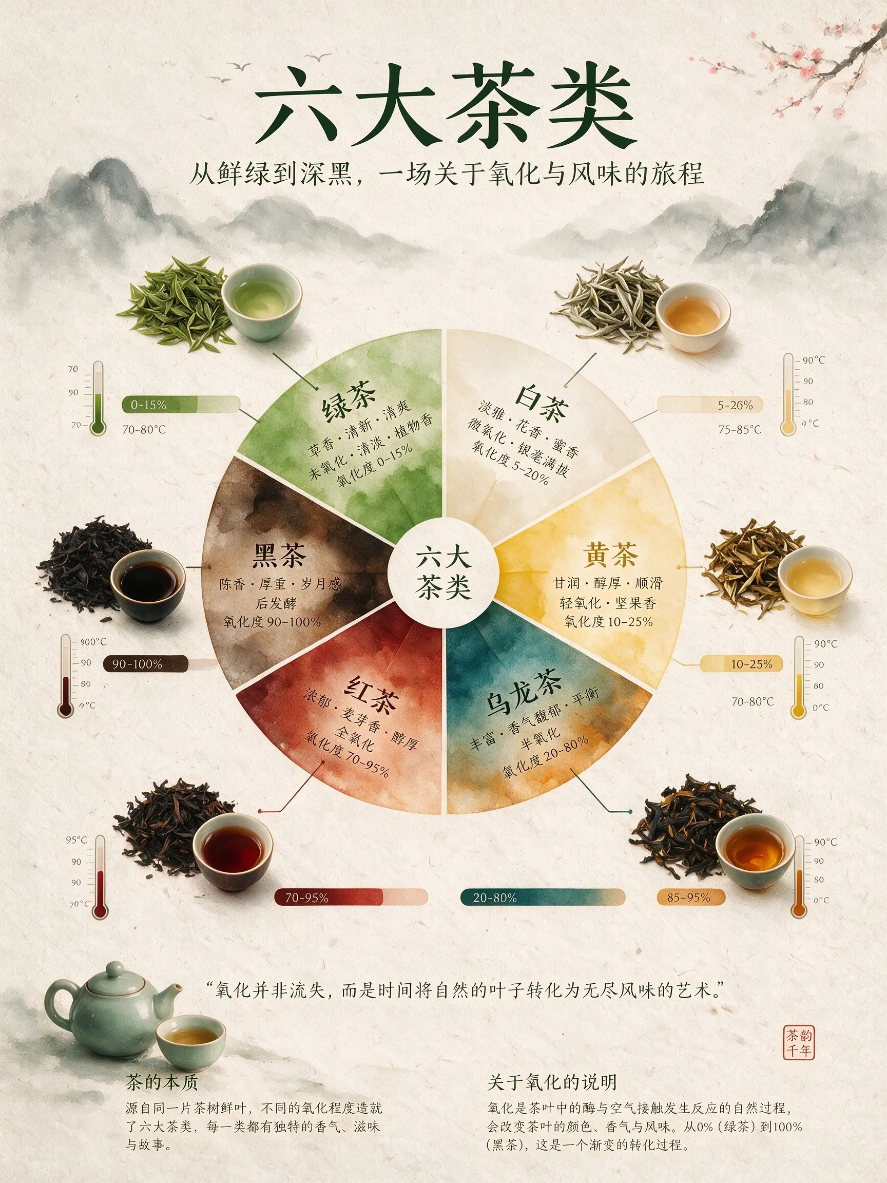 Official Seedream 5.0 Pro Chinese tea infographic example
